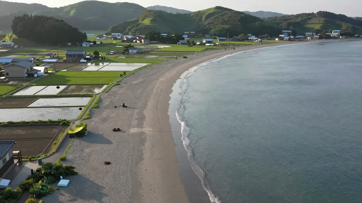 千葉の海沿いに広がる田園と砂浜の風景