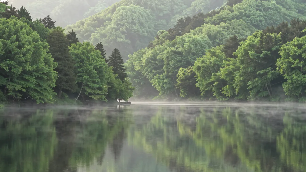 朝霧に包まれた森の湖と緑の山並み
