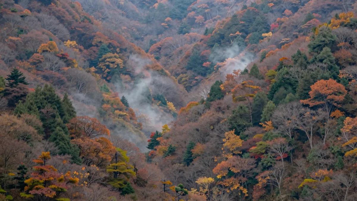 紅葉した山あいの谷から白い湯気が立ちのぼる風景